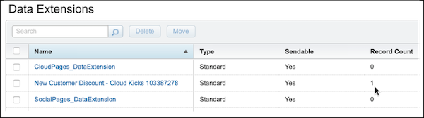 Created Lead Capture Data Extension with record count of 1