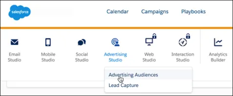 Advertising Studio options: Audiences and Lead Capture