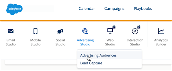Optionen in Advertising Studio: Advertising Audiences und Lead-Erfassung