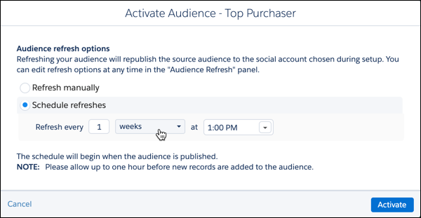 Activate Audience Top Purchasers