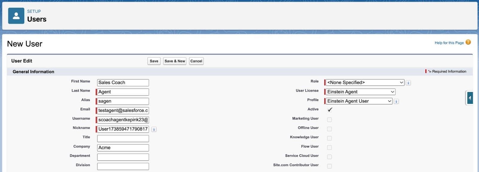 Page de configuration New User (Nouvel utilisateur) avec une date renseignée.