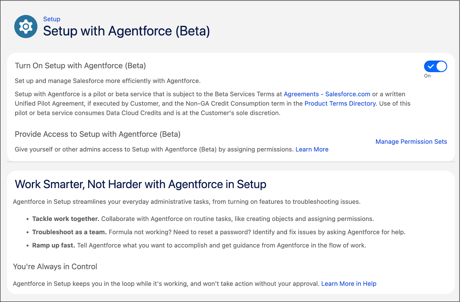 [Setup (設定)] の [Setup with Agentforce (Beta) (Agentforce を使用した設定 (ベータ))] 設定ページ。