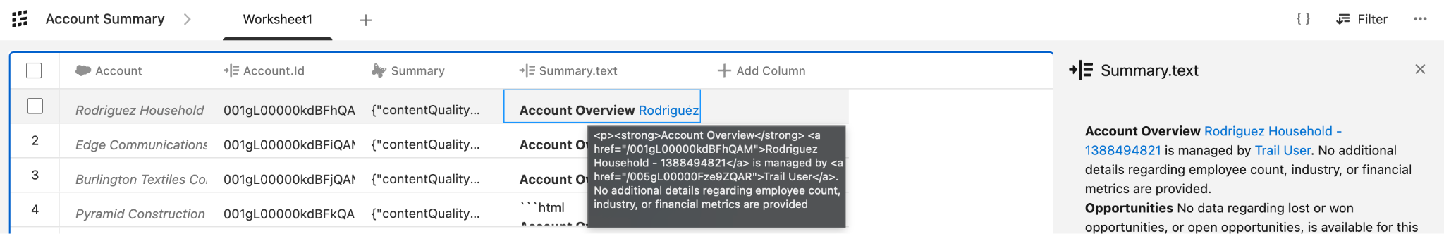 “Account Summary with the new Summary.text field added to a column.”