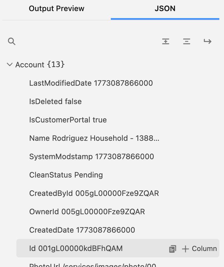 “The Account Summary Grid interface showing a list of Account IDs with the '+ Column' button visible next to the Id field header.”
