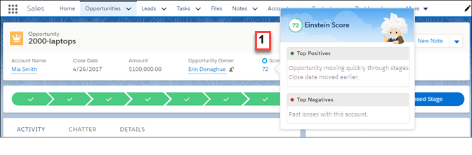 Datensatzdetails in Einstein-Opportunity-Bewertungen