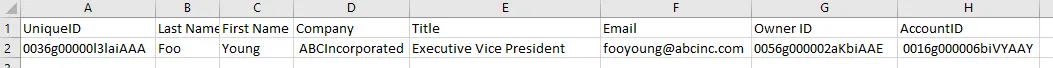 CSV-Datei mit zwei Zeilen, den Feldnamen in Zeile 1, einschließlich UniqueID, und den Daten eines einzelnen Datensatzes in Zeile 2