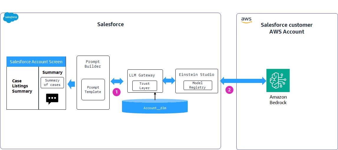 Data goes back and forth between a company’s Salesforce and AWS systems; the example shown is a Salesforce account displaying a summary of the account’s cases further explained in the badge content.