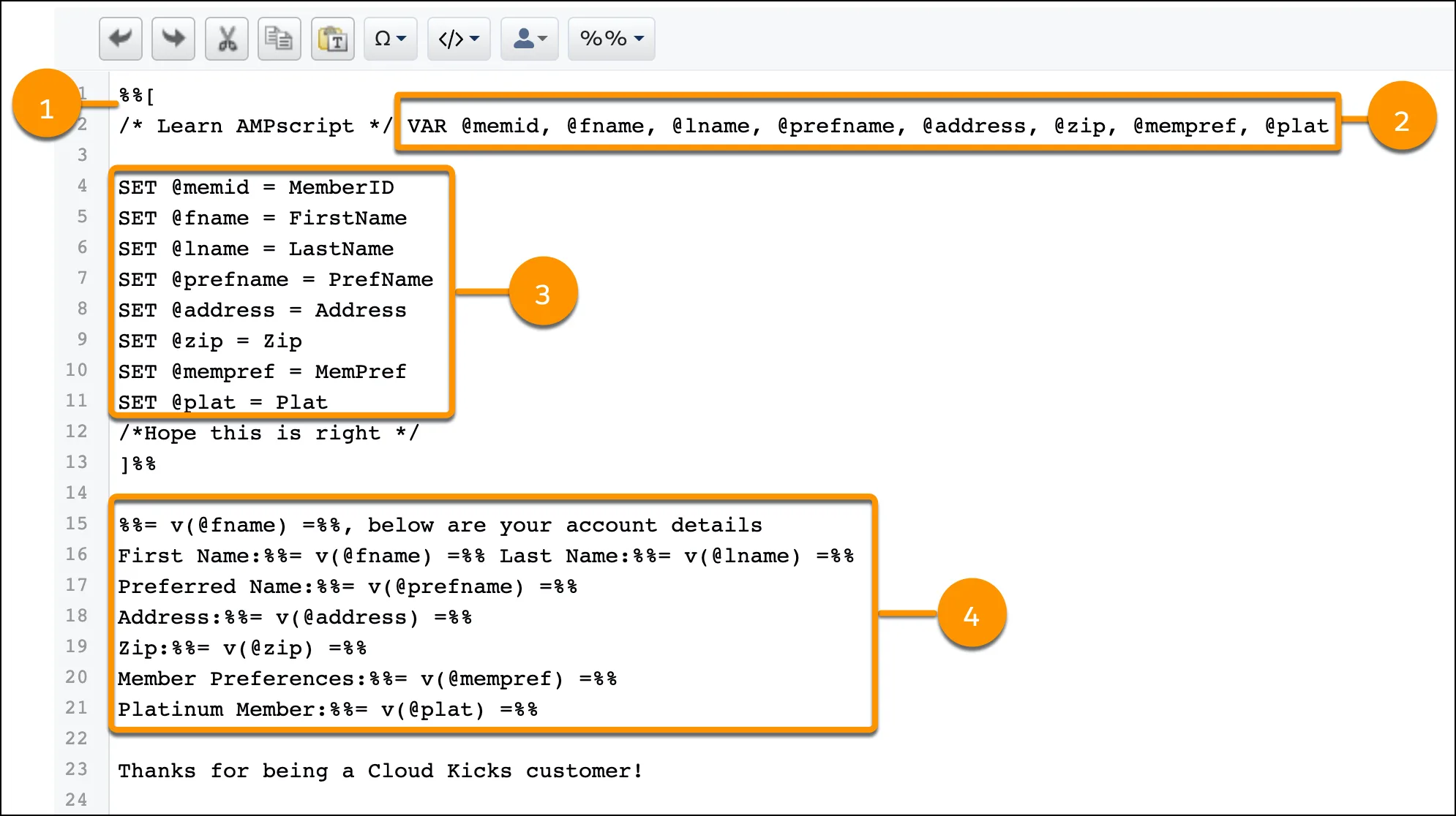 Sample code with callouts based on sections of code.