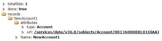 Query response returns one account record