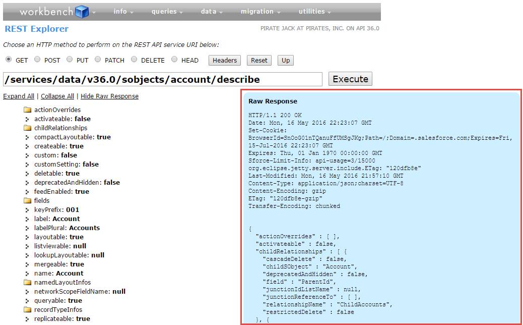 Use Rest Api Unit Salesforce Trailhead