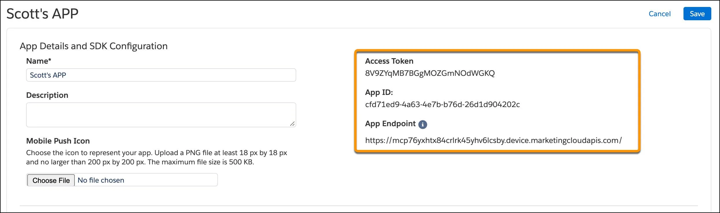 [セットアップ] 画面で強調表示されている [アクセストークン]、[アプリ ID]、[アプリエンドポイント]。