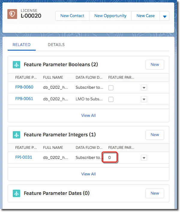 A license record window, where you can view feature parameter values