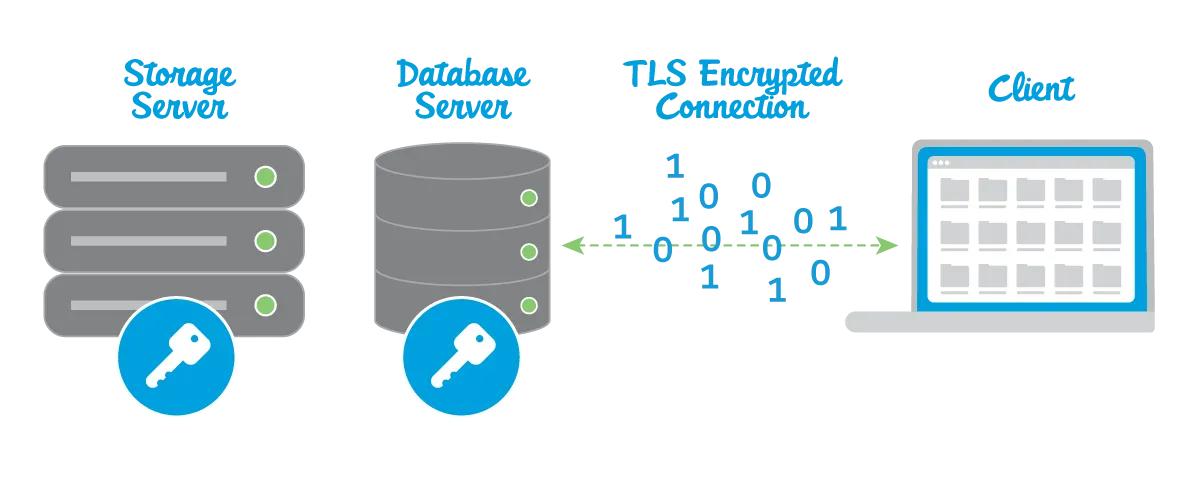 Encryption being used to lock down data on a storage server, database server, and on the connection between the servers and the client (laptop)