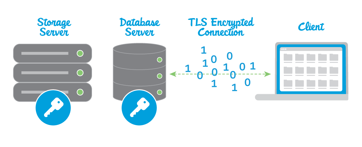 Criptografia em uso para bloquear dados em um servidor de armazenamento, em um servidor de banco de dados e na conexão entre os servidores e o cliente (laptop)