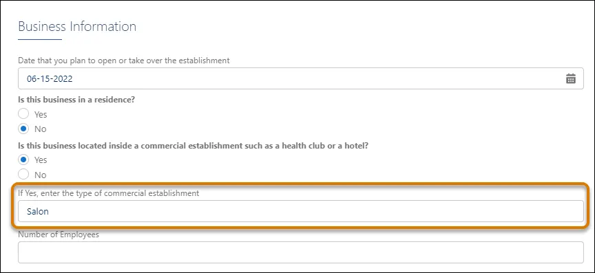 Screen capture of a dynamic form that updates to display a new text field asking the applicant to enter their business type