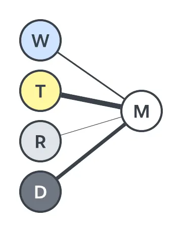 Diagramm der Eingabeknoten mit ihren Verbindungen zur Ausgabe