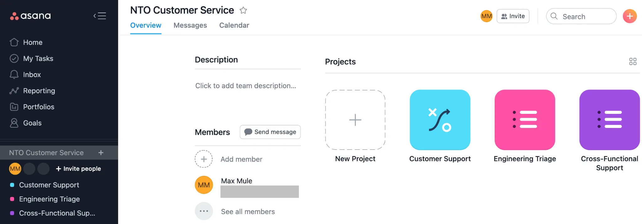 NTO Customer Service workspace with Customer Support, Engineering Triage, and Cross-Functional Support projects.