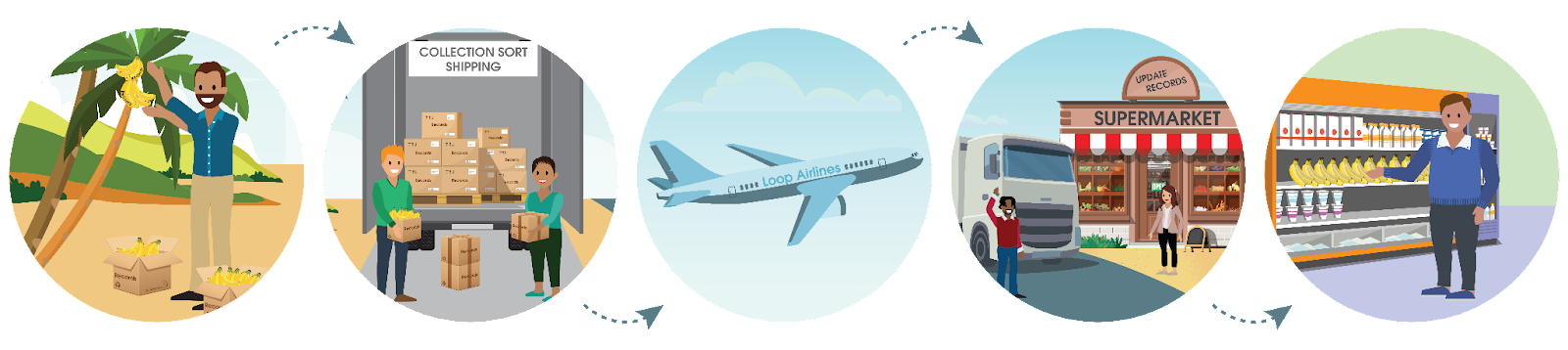 以下の比喩に対応する、バナナが収穫されてから食料品店の棚に並ぶまでの流れ