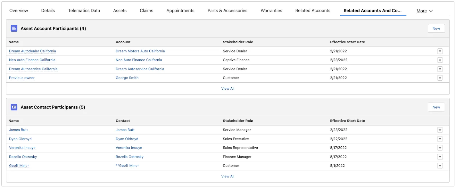 Asset Account Participant and Asset Contact Participant records for a vehicle.