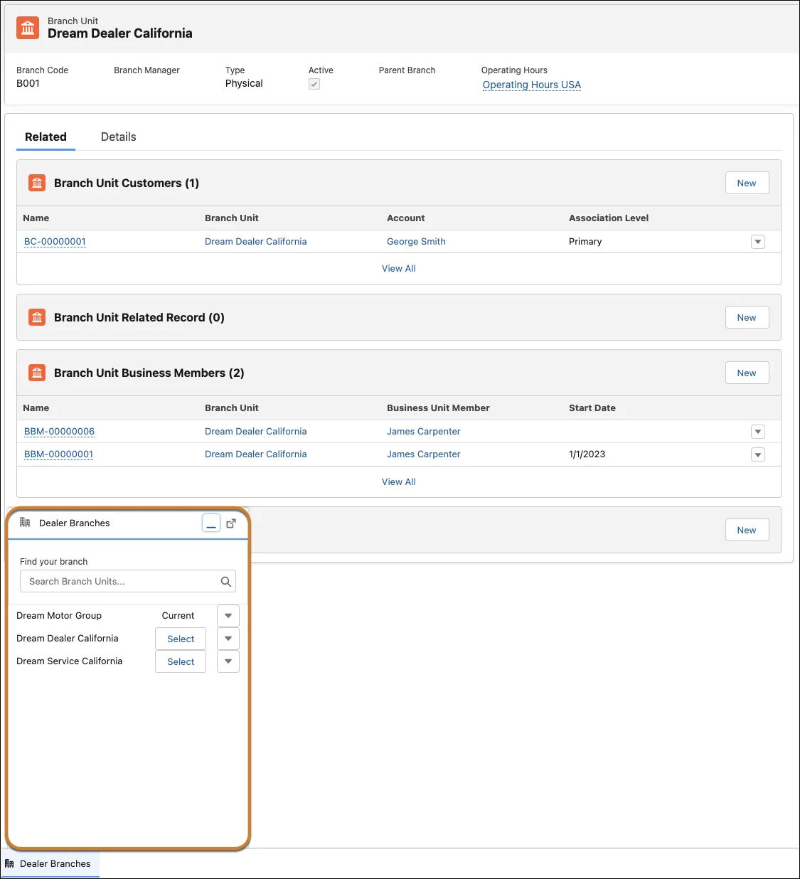 A Branch Unit record and the Dealer Branch selector in Automotive Cloud.