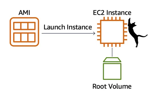 Instance types -  Elastic Compute Cloud