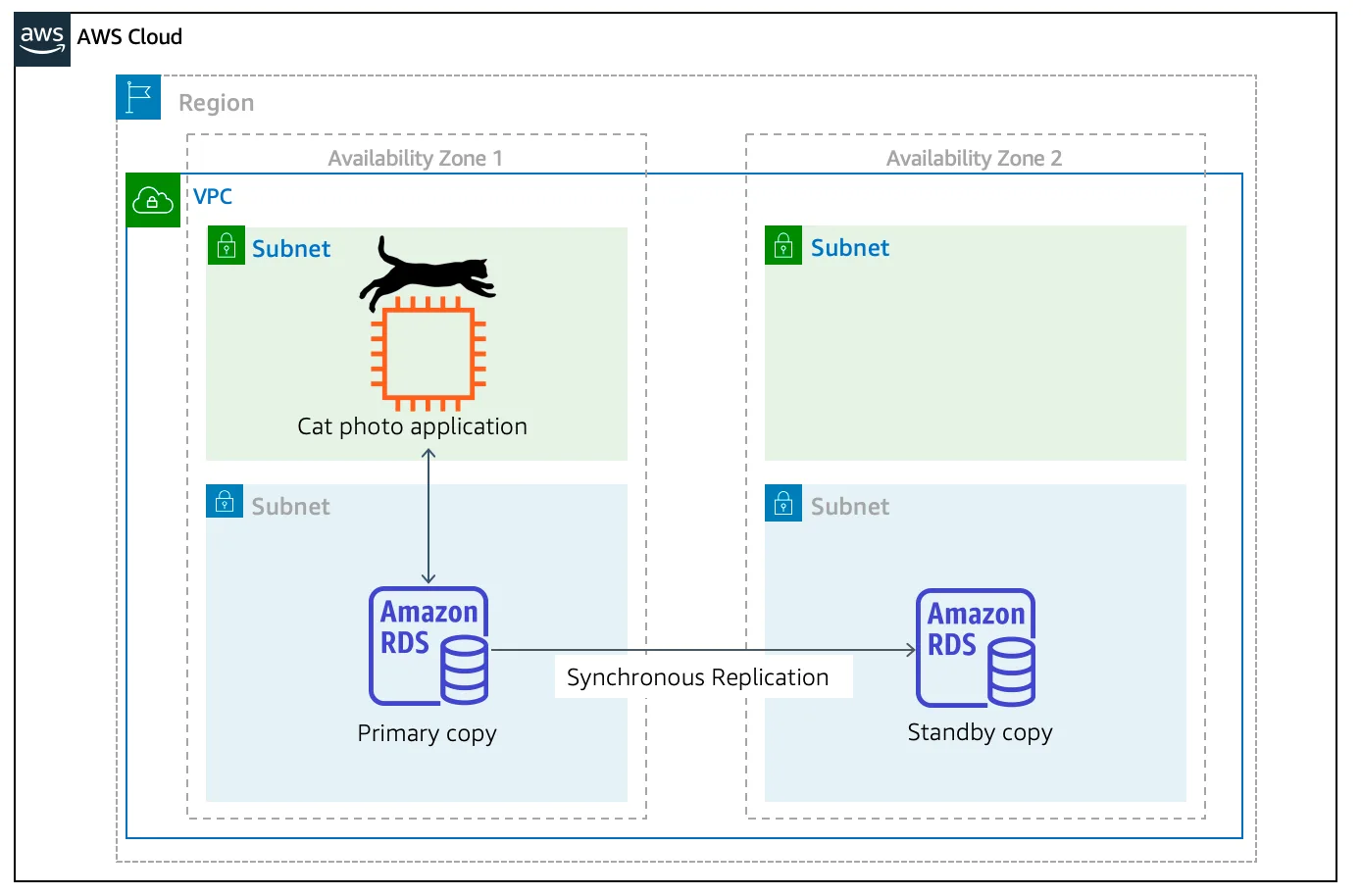 A primary and standby copy of an RDS database. The cat photo application queries only the primary database. The primary copy synchronously replicates to the standby copy.