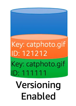 Diagram showing two versions of an object named catphoto.gif with different version IDs.