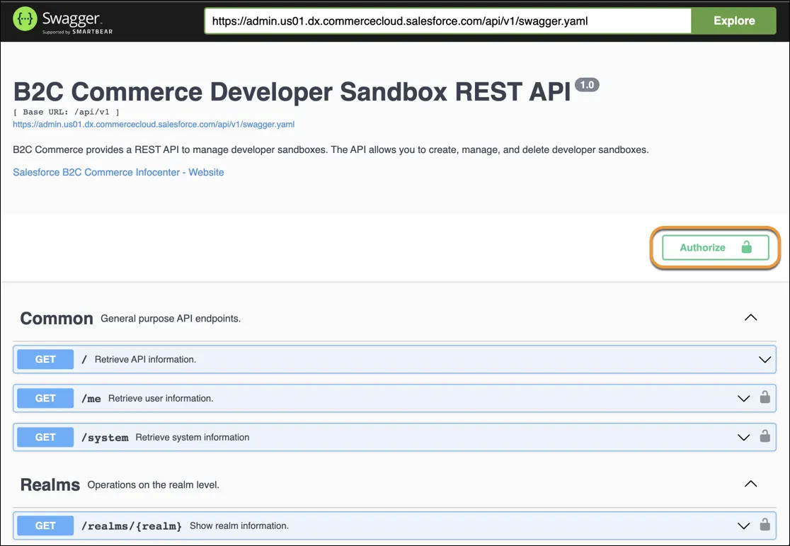 REST API の [Authorize (認証)] ページ。