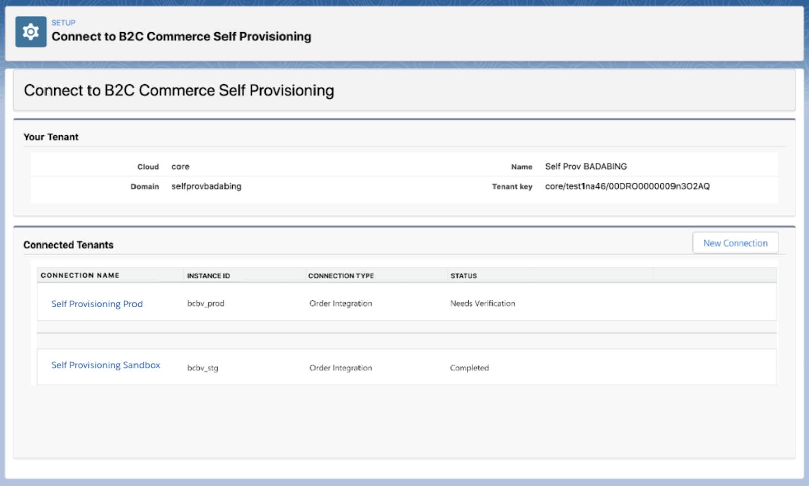 Screen showing B2C Commerce Connections