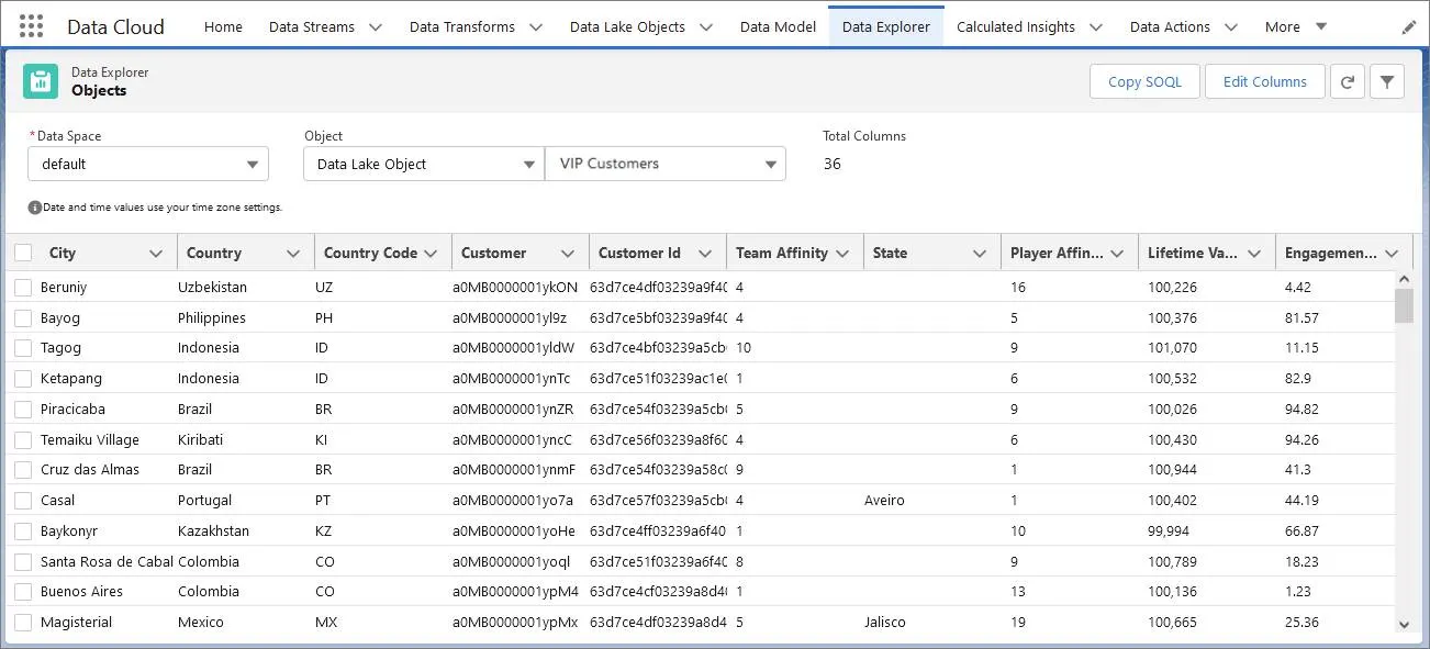 Die Seite 'Data Explorer' (Datenexplorer) mit ausgewähltem DLO "VIP Customers" und den Daten in diesem DLO.