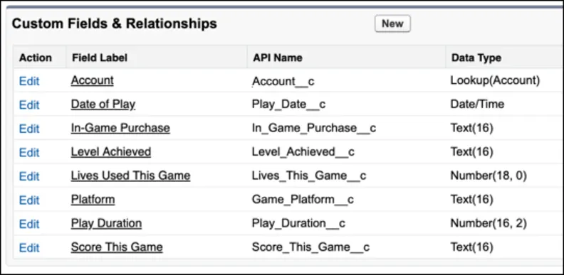 Big object custom fields