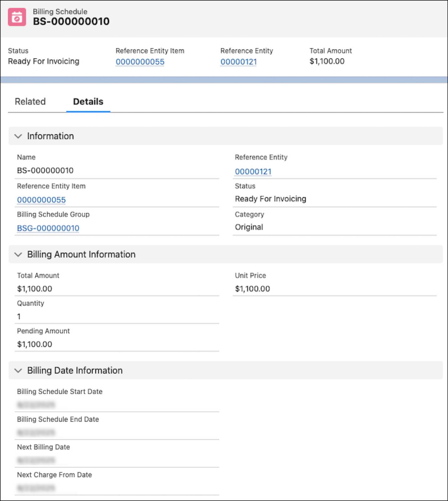 The details tab of the billing schedule contains several sections.