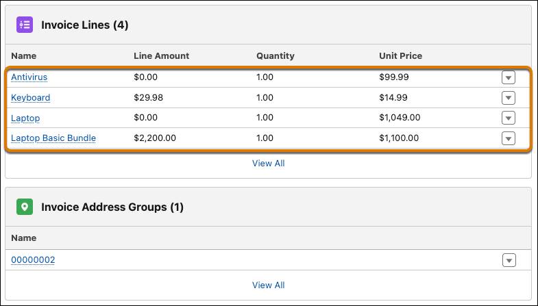 The keyboard, the laptop basic bundle, and each of the bundles subproducts each have an invoice line.