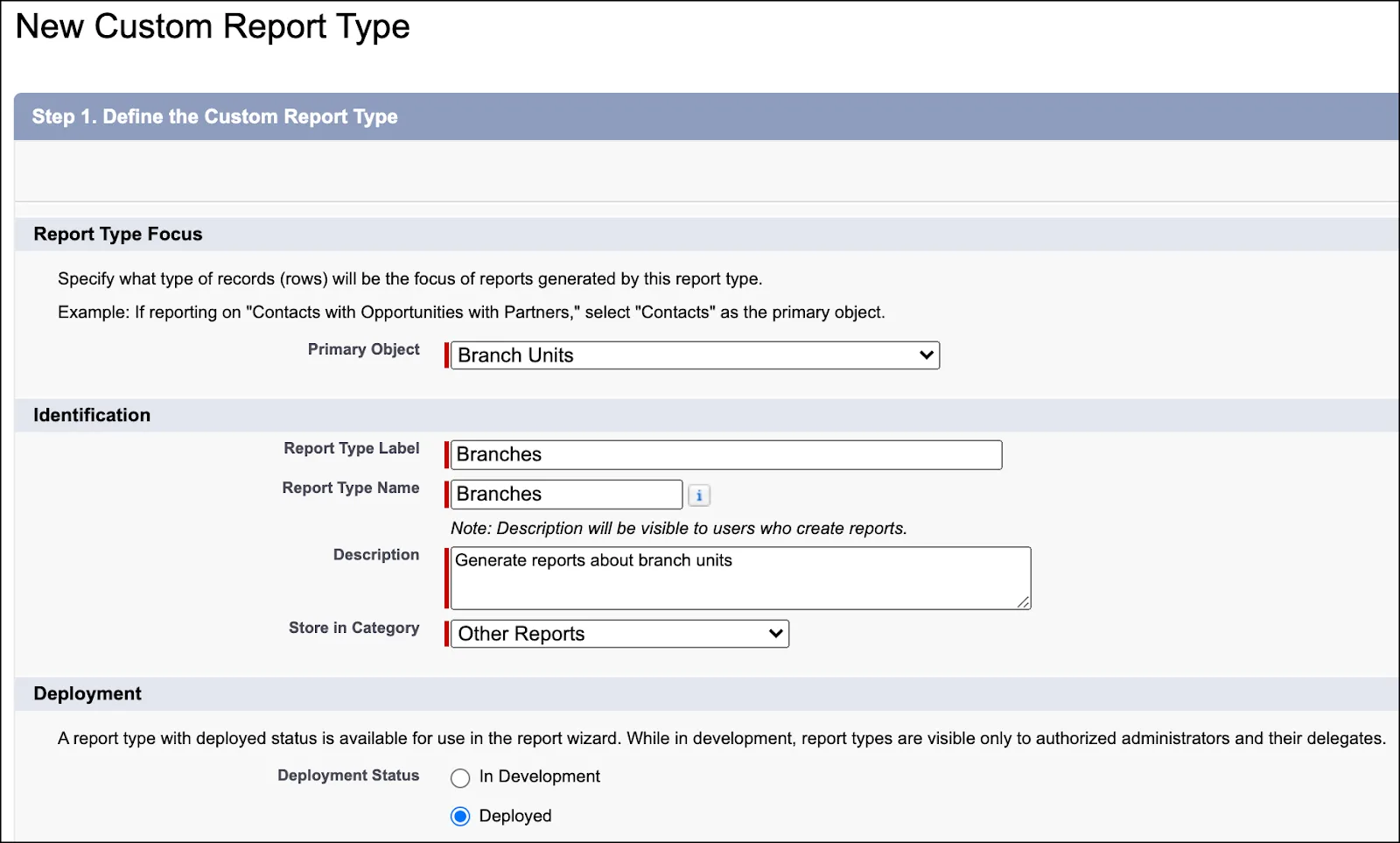 The New Custom Report Type page.