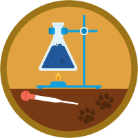 Business Experimentation icon