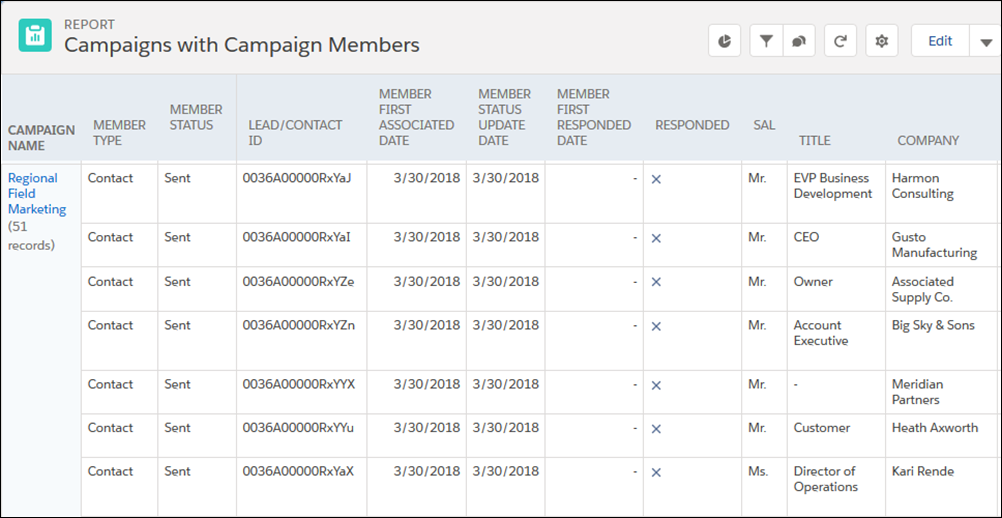 The Campaign Member Analysis report