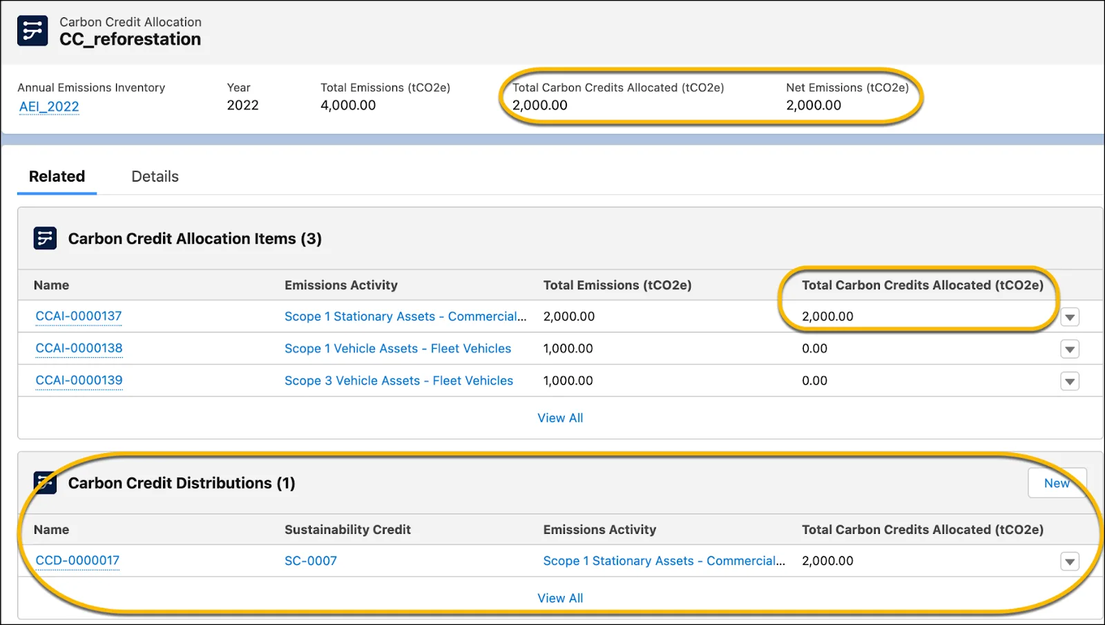 The Related tab of a sample carbon credit allocation record showing the total carbon credits allocated.