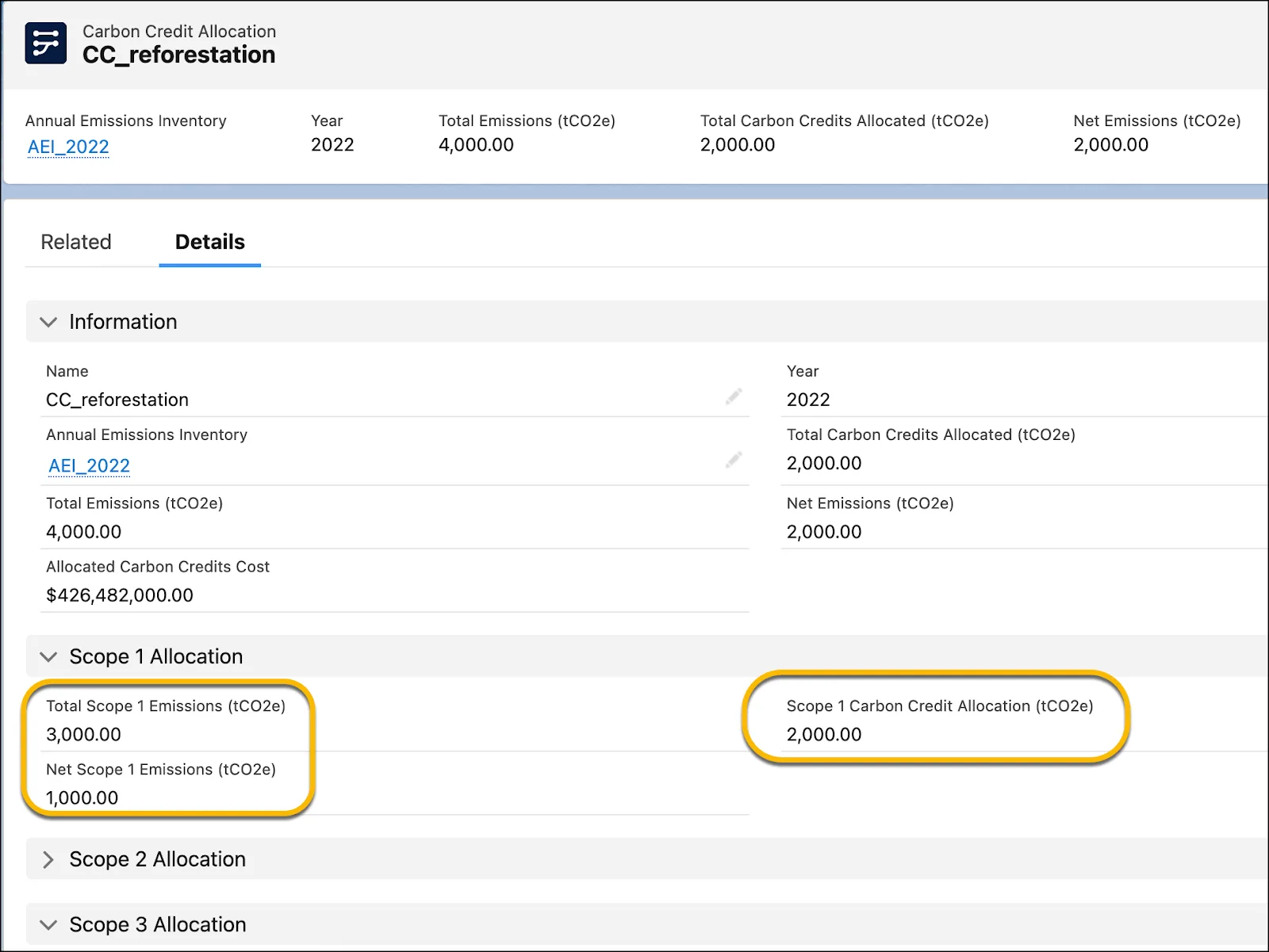 Sample carbon credit allocation record showing total emissions, carbon credit allocation, and net emissions for scope 1.