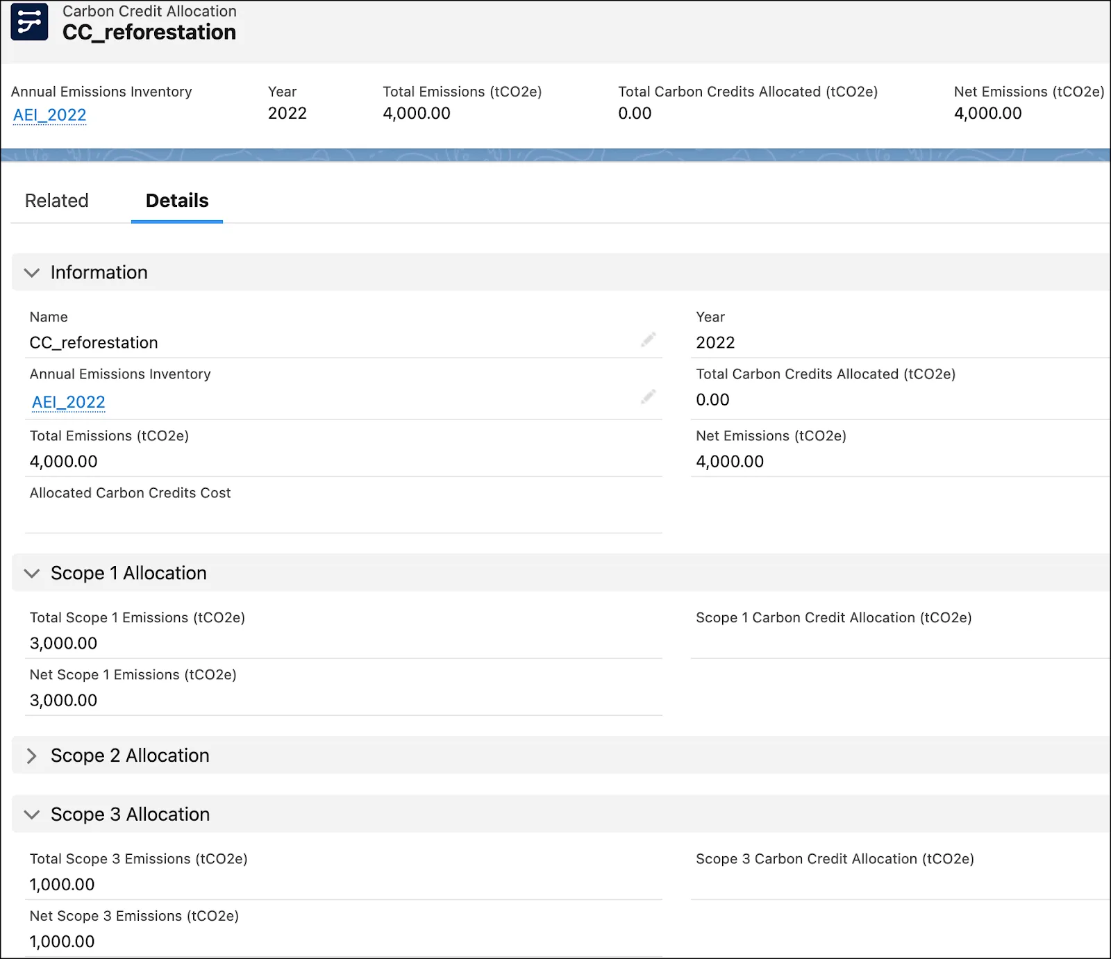 A sample carbon credit allocation record