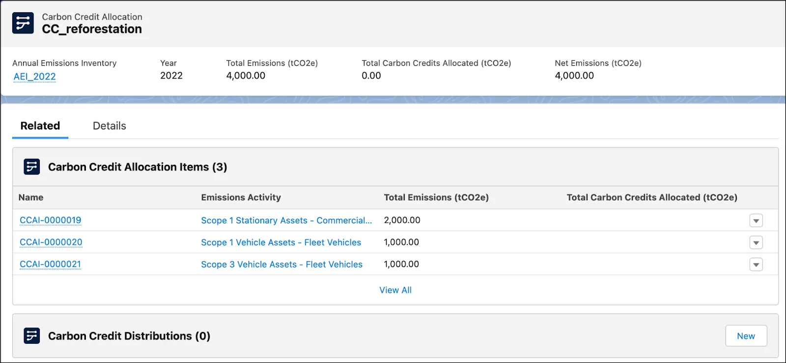 Related tab on a sample carbon credit allocation record that shows the carbon credit allocation items.