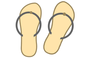 A pair of flip-flops