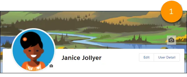 A banner image on a profile page