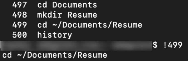 Command-line history and rerunning a previous command using the shortcut !499.