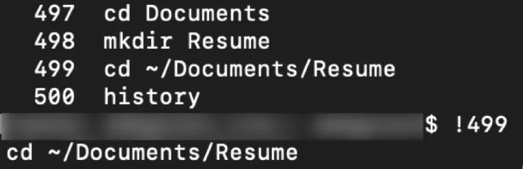 Command-line history and rerunning a previous command using the shortcut !499.