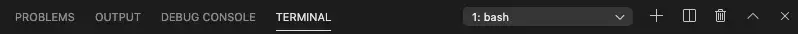 BASH shell selected in the terminal window navigation bar.