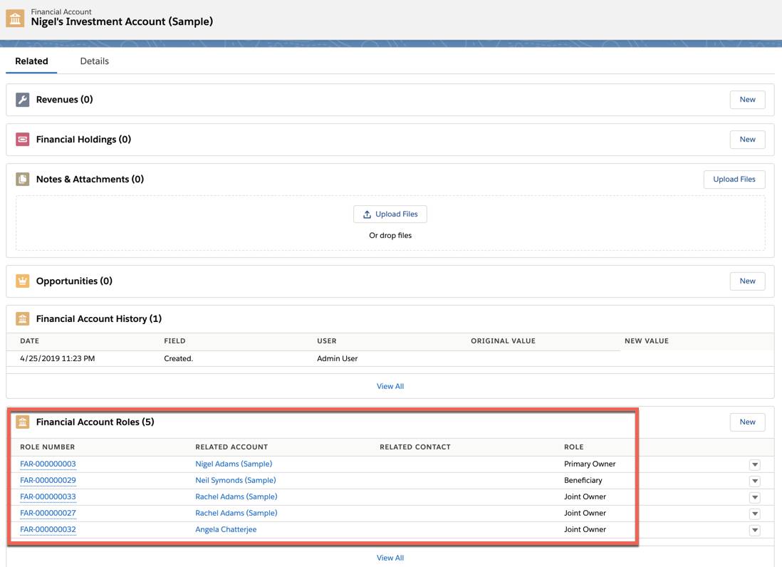 A screenshot of Nigel’s Investment Account with a red box around the Financial Account Roles section