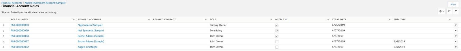 Detailed view of the financial account roles associated with Nigel’s Investment Account