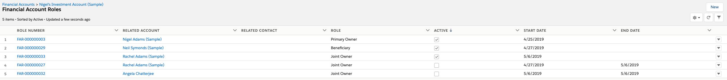 Detailed view of the financial account roles associated with Nigel’s Investment Account