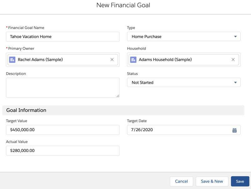 The New Financial Goal page with some details filled out for Rachel Adams