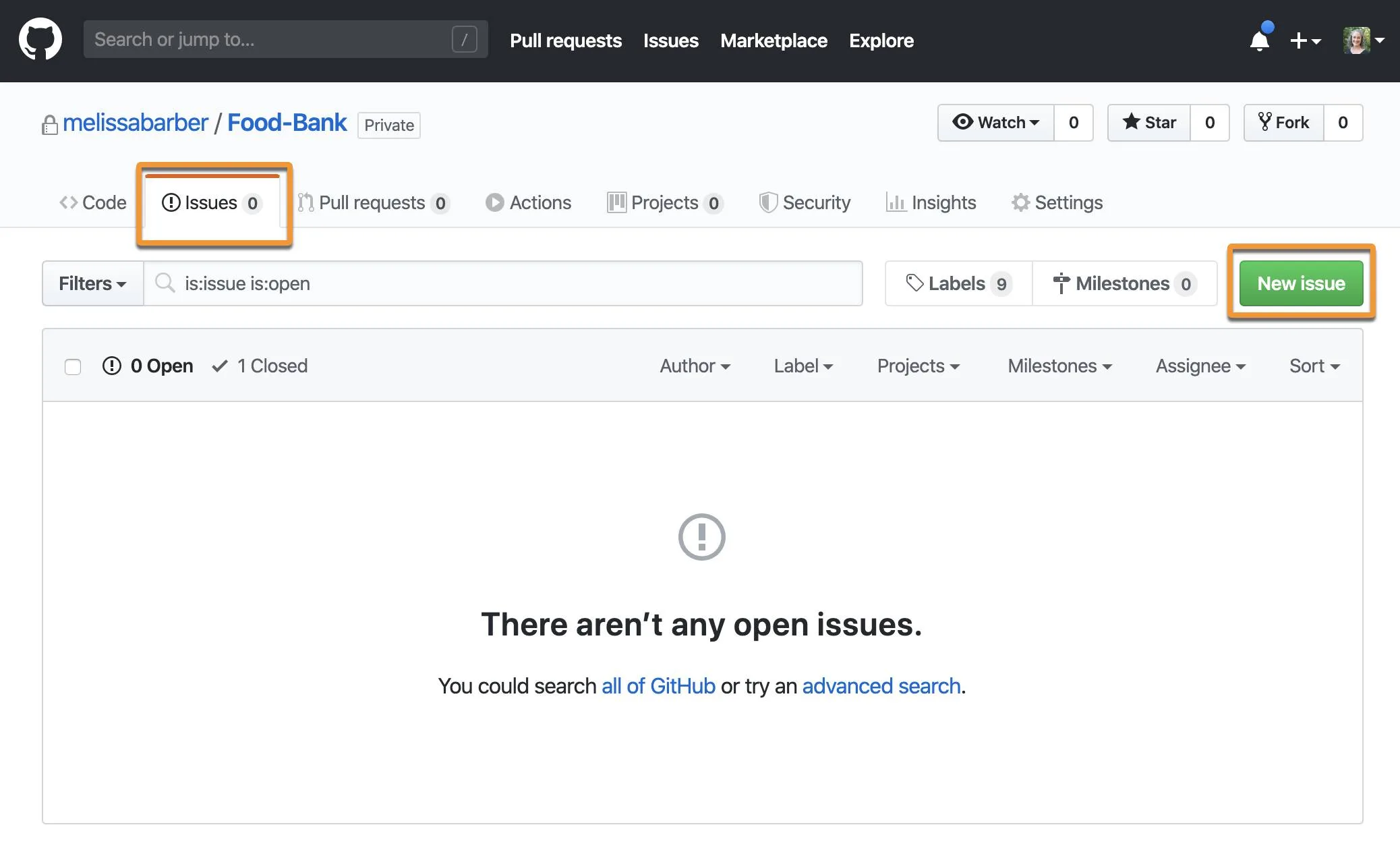 GitHub in a browser window with Issue tab and New Issue button highlighted.